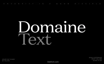 Domaine Text Font Family