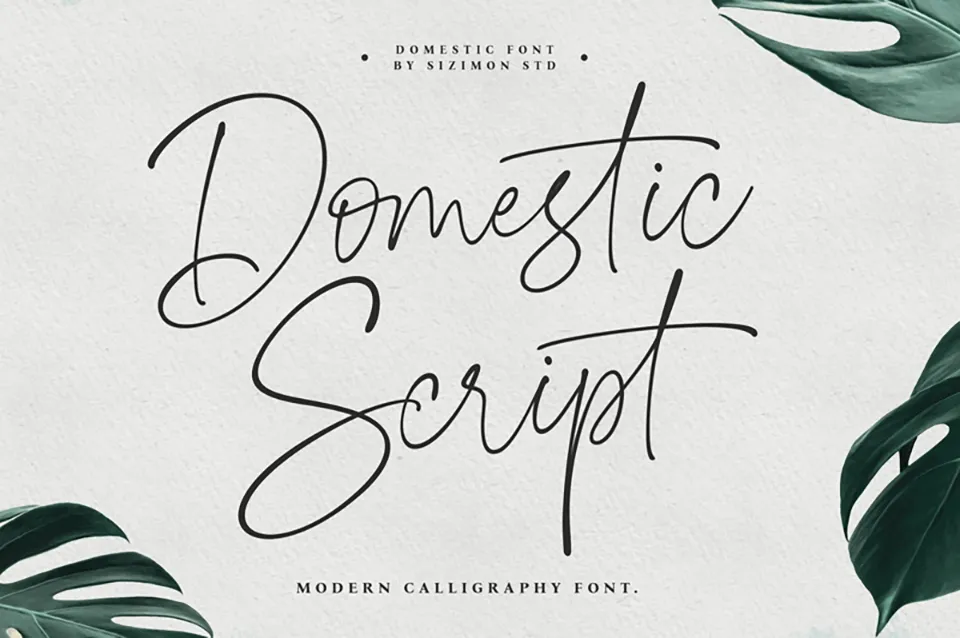 Domestic Script Font