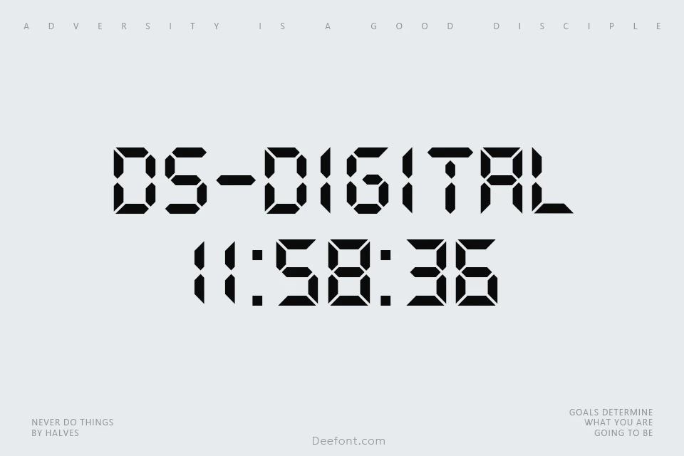 DS-Digital Font