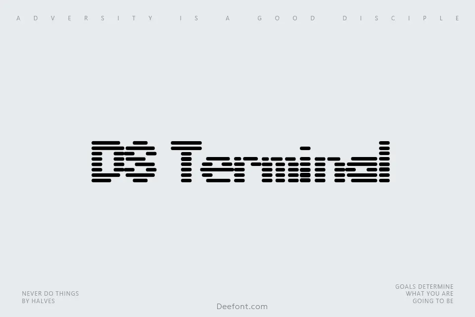 DS Terminal Font
