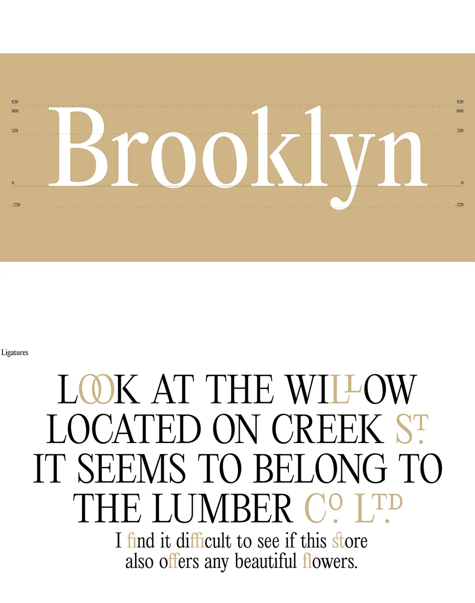 Editorial New Font Family download