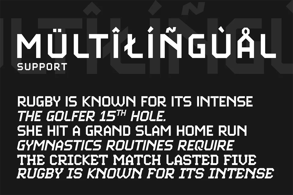 Energix Sport Font download