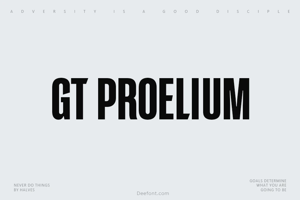 GT Proelium Font Family