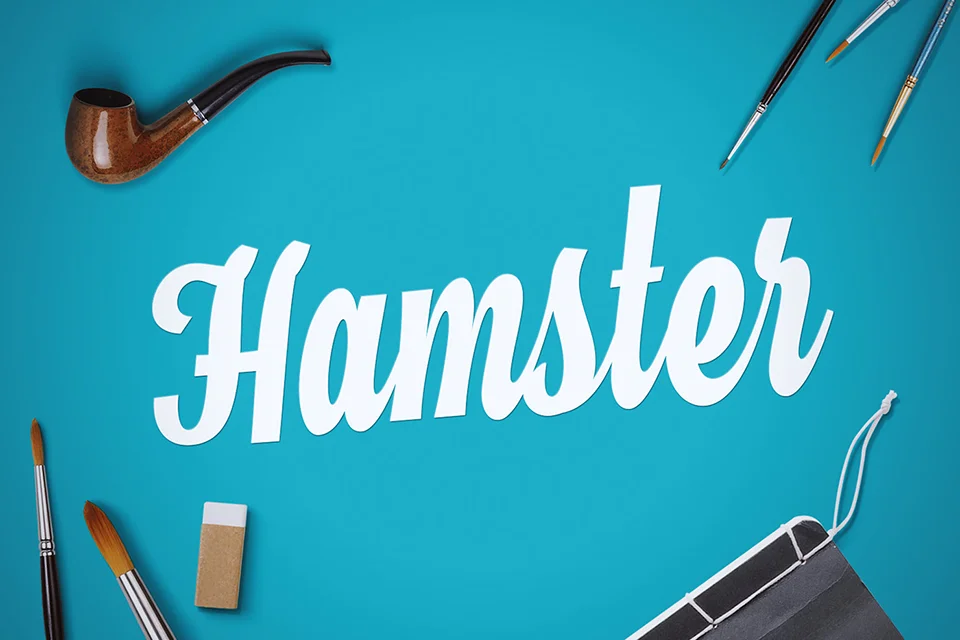 hamster script font download