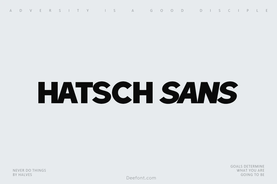 Hatsch Sans Font Family
