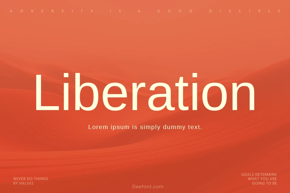 Liberation Sans Font