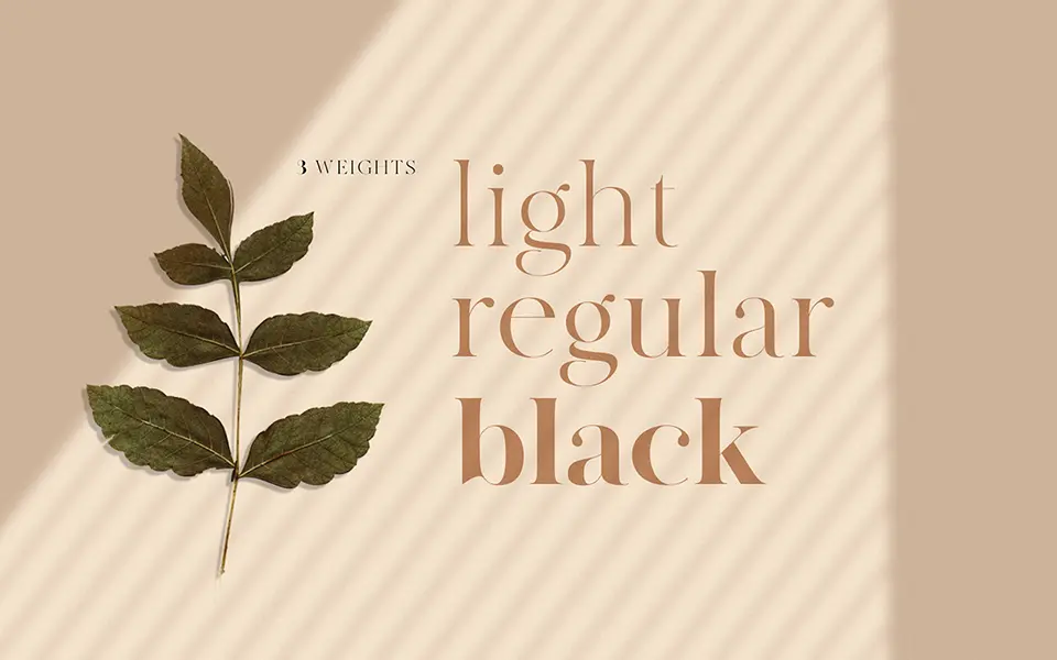 MADE Canvas Font Family