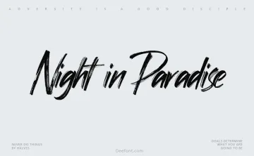 Night in Paradise Font