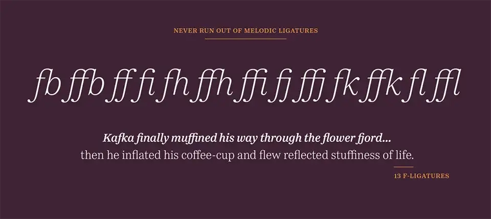 Passenger Serif Font Family