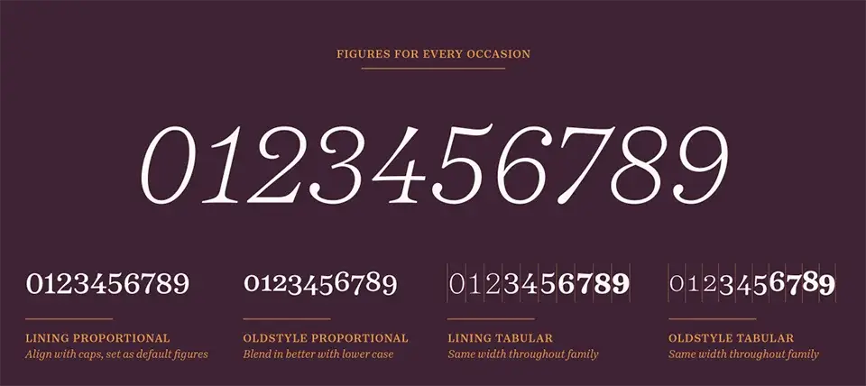 Passenger Serif Font Family