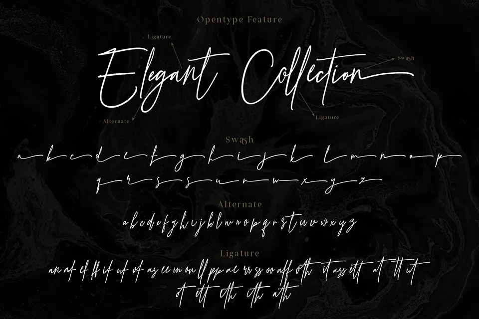 Prestige Signature Script Font