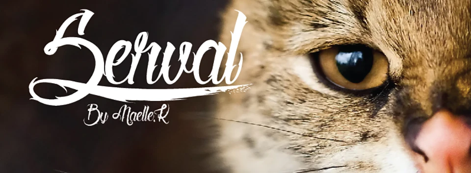 serval cover font download