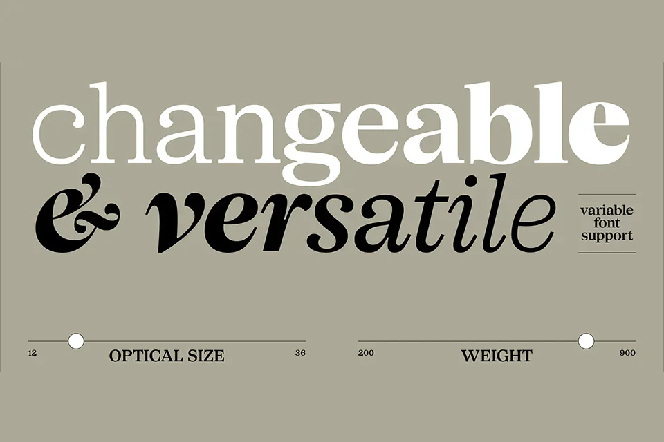 sft schrifted serif font family