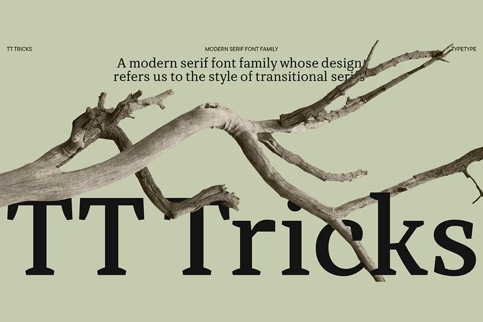 TT Tricks Font Family