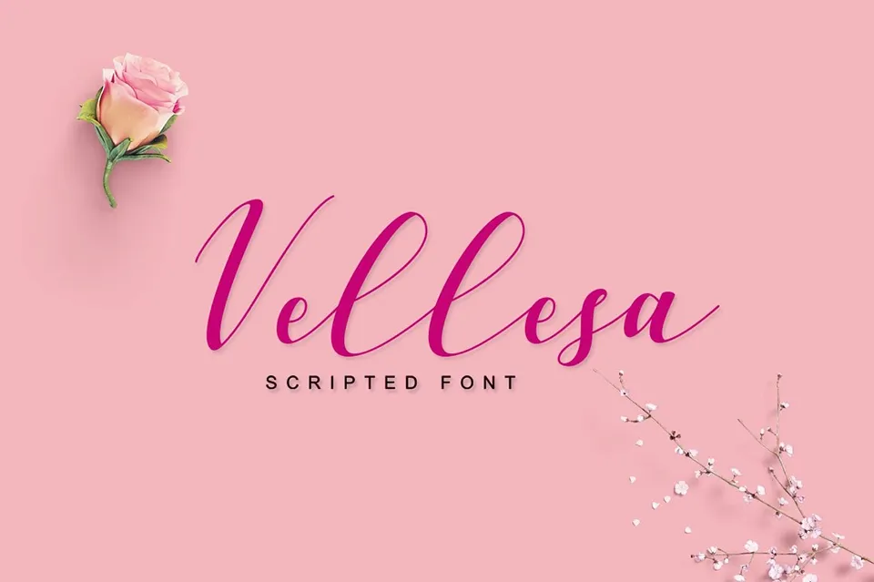 Vellesa Script Font