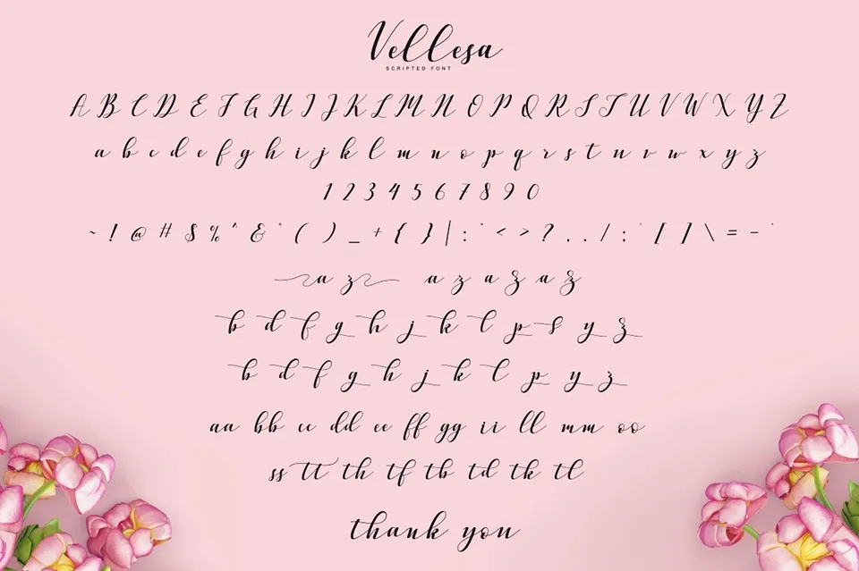 Vellesa Script Font