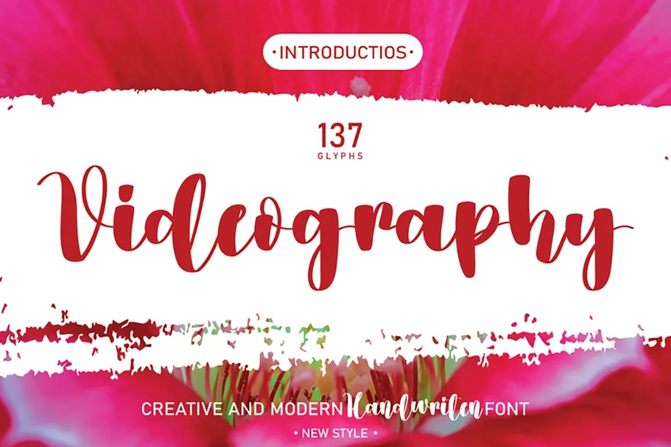 Videography Font
