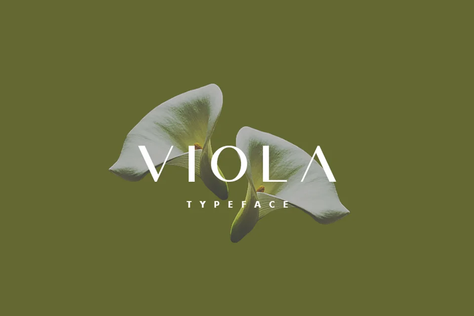 Viola Sans Serif Font