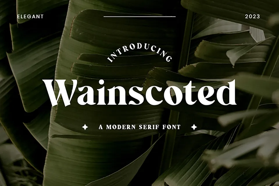 Wainscoted Font