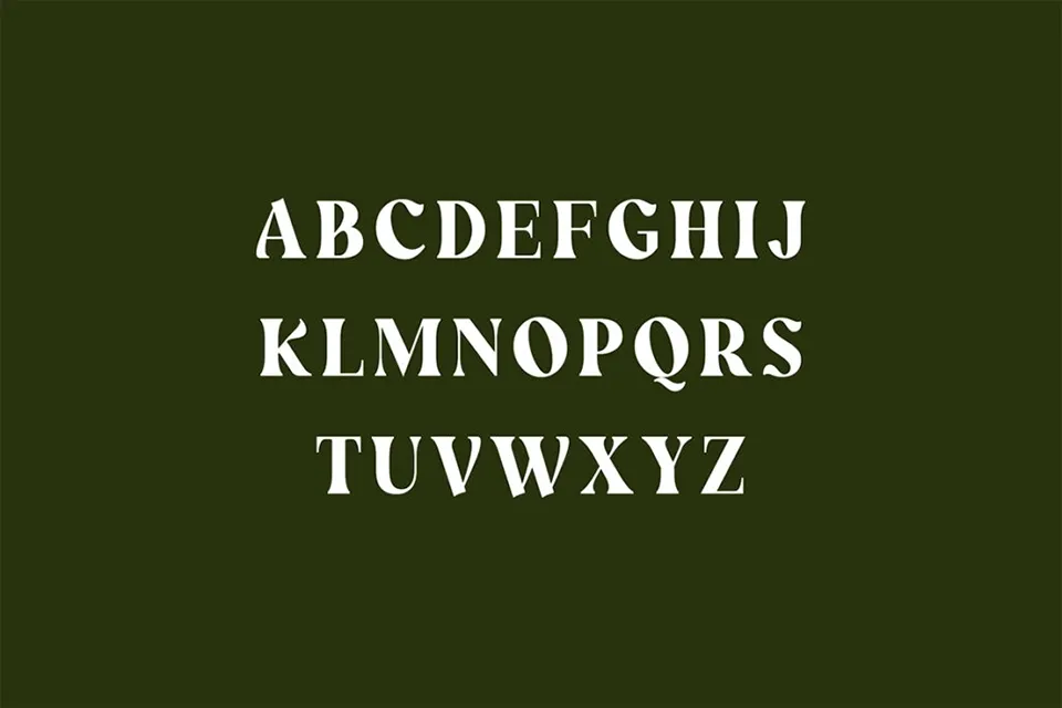 Wainscoted Font