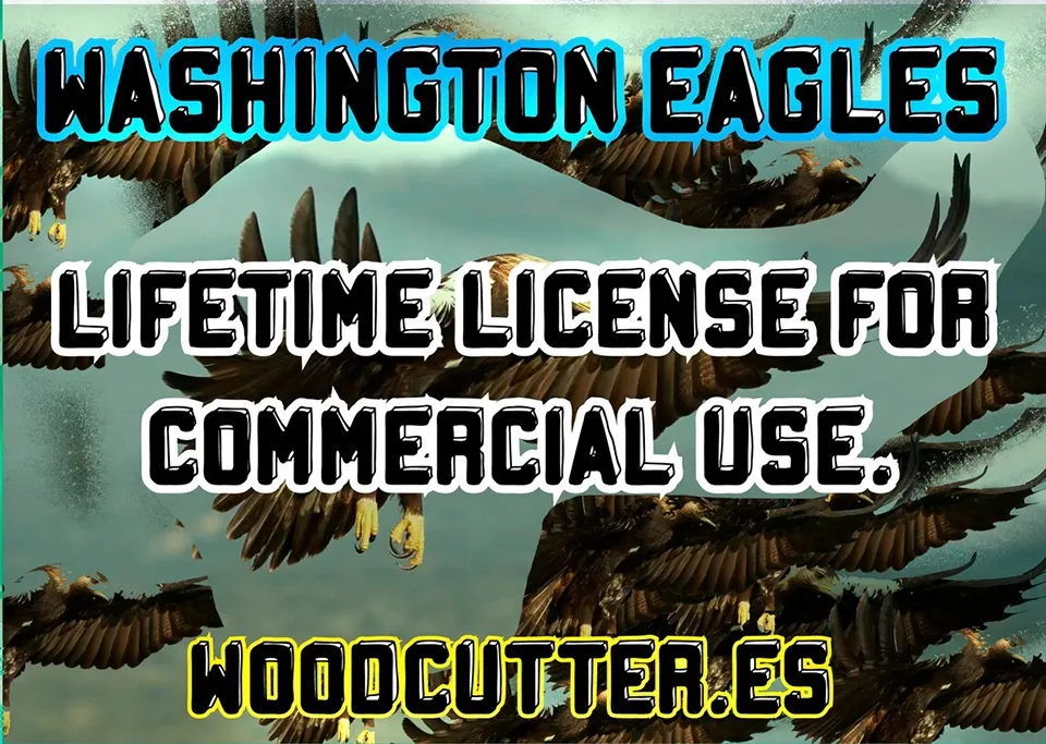 Washington Eagles Font