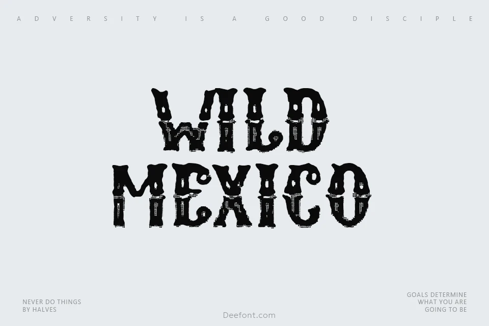 Wild Mexico Font