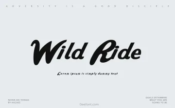 Wild Ride Font